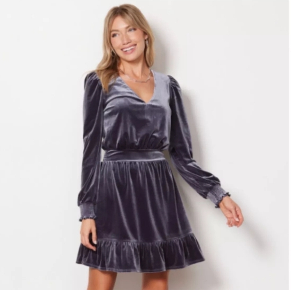 Evereve Silver Blue Fiona Velvet Dress XS